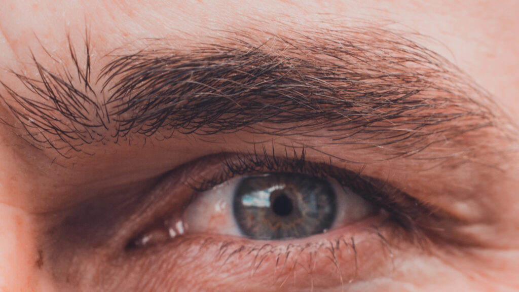 Close-up of a blue eye surrounded by thick eyebrows and eyelashes, with detailed skin texture visible. After 40, watch out for changes in eye conditions that could affect such striking features.