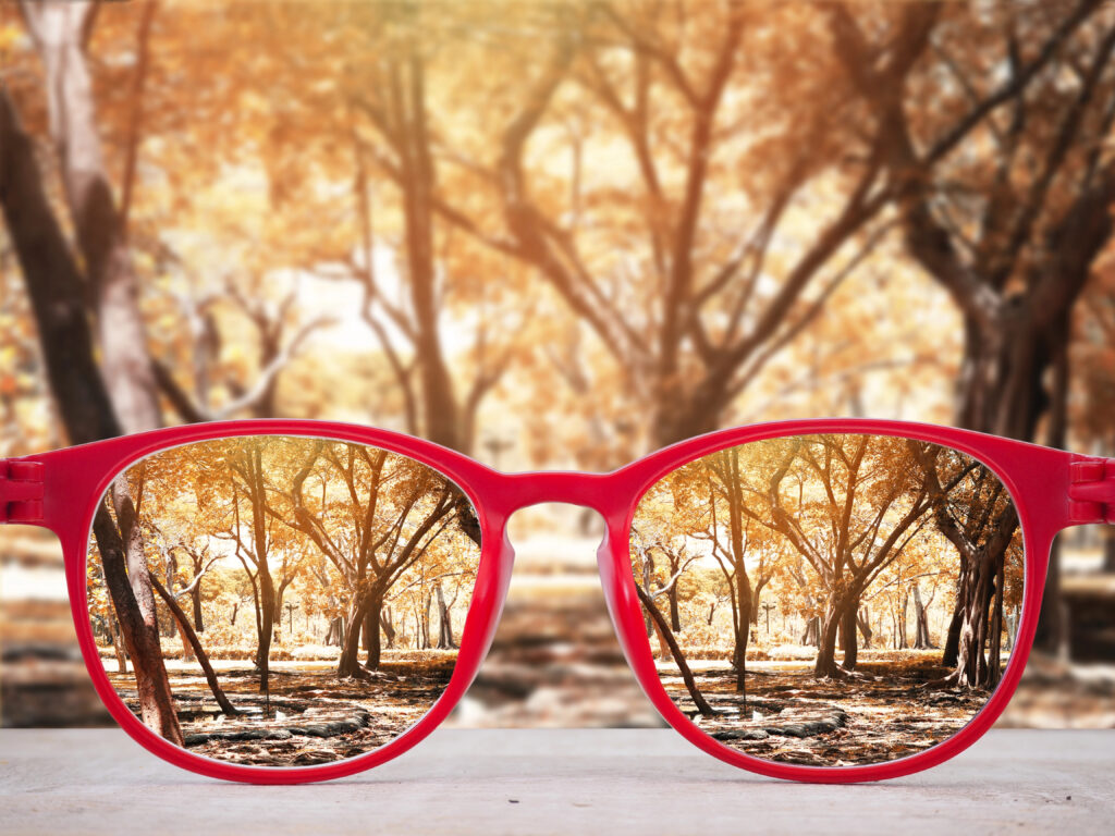 Red glasses rest on a surface, making the trees in the background appear clearer and more vibrant through the lenses, contrasting sharply with the blurred scenery beyond. According to eye experts, this effect can bring any environment to life, even in climates as varied as Boise's.