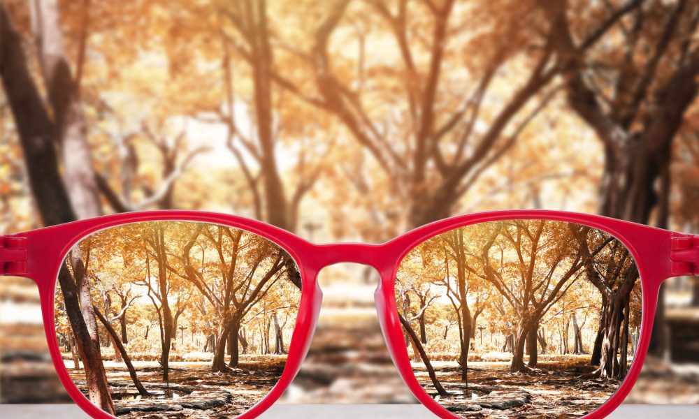 Red glasses rest on a surface, making the trees in the background appear clearer and more vibrant through the lenses, contrasting sharply with the blurred scenery beyond. According to eye experts, this effect can bring any environment to life, even in climates as varied as Boise's.