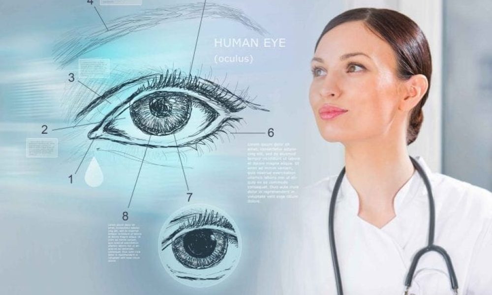 A female doctor is looking at a diagram of the human eye during a periodic eye exam.